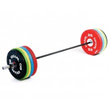Escape 10kg Elite Competition Bumper Disc - Technique (Green) 