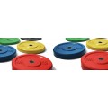 Weight Plates and Discs