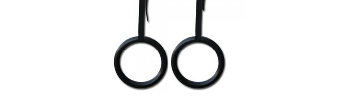 Gym Rings